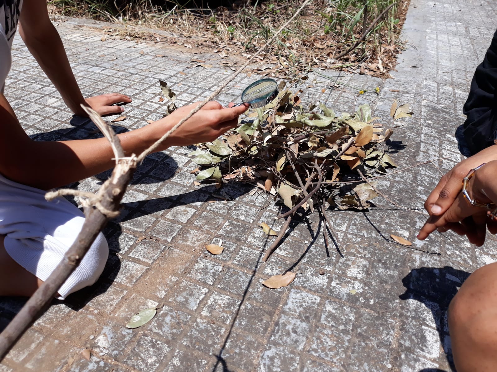IMG-20190629-WA0016